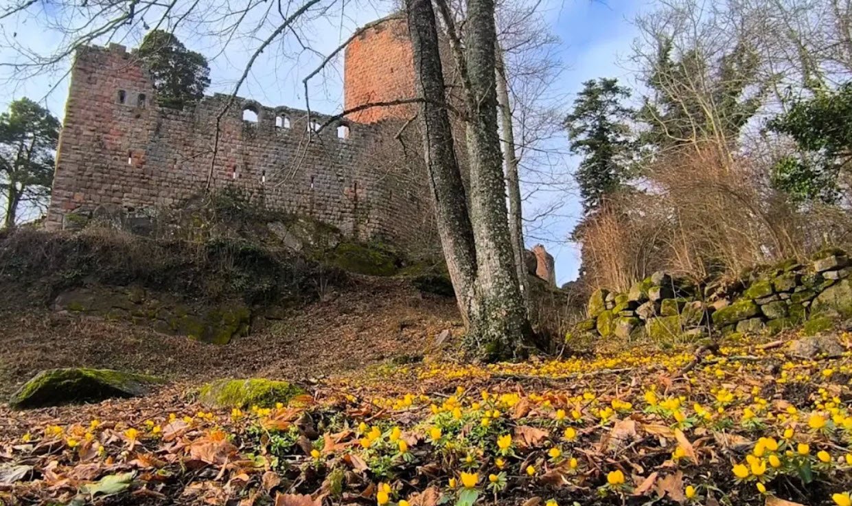 Chateau du Landsberg, Heiligenstein, France, Germany